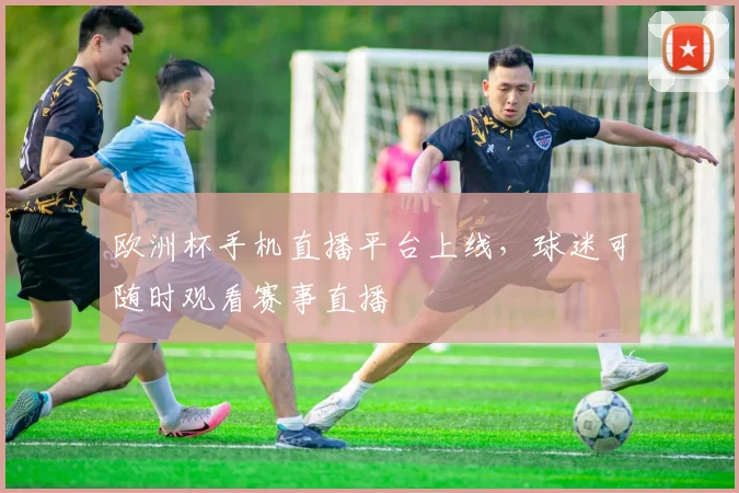 欧洲杯手机直播平台上线,球迷可随时观看赛事直播