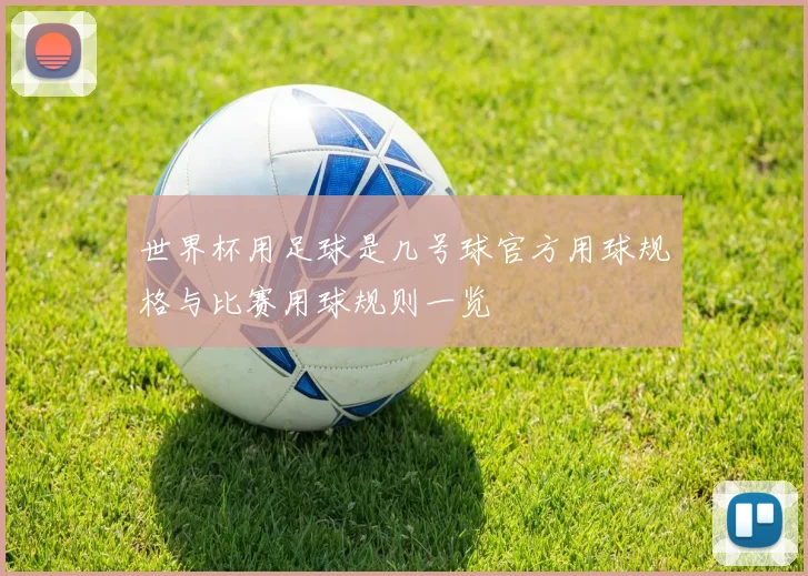 世界杯用足球是几号球官方用球规格与比赛用球规则一览