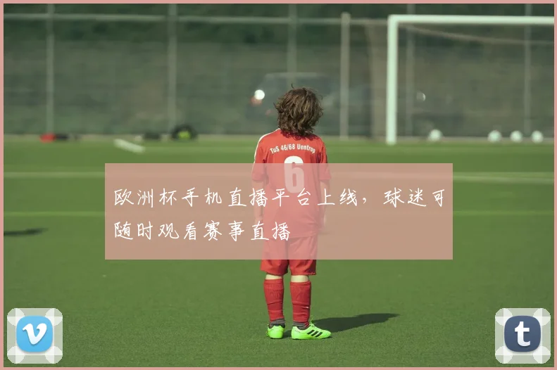 欧洲杯手机直播平台上线，球迷可随时观看赛事直播
