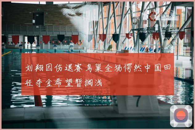 刘翔因伤退赛鸟巢全场愕然中国田径夺金希望暂搁浅