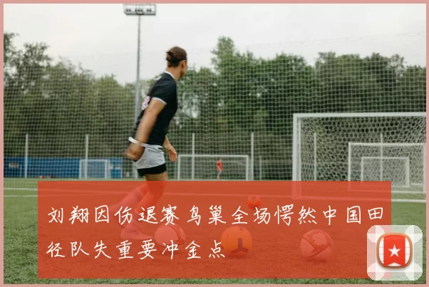 刘翔因伤退赛鸟巢全场愕然中国田径队失重要冲金点
