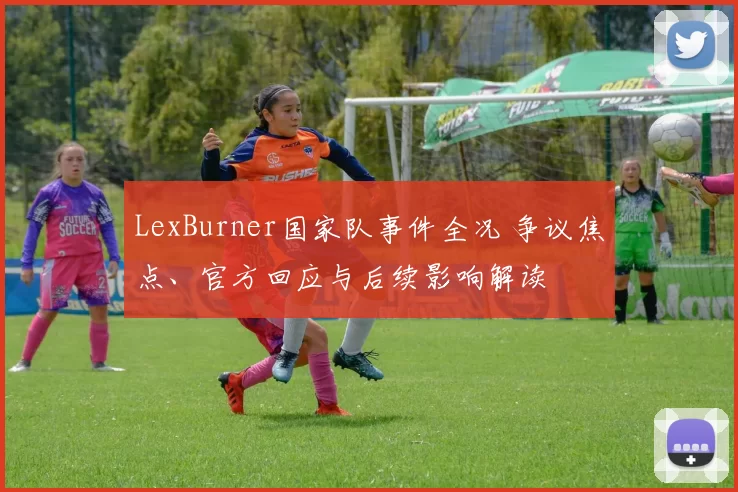 LexBurner国家队事件全况 争议焦点、官方回应与后续影响解读