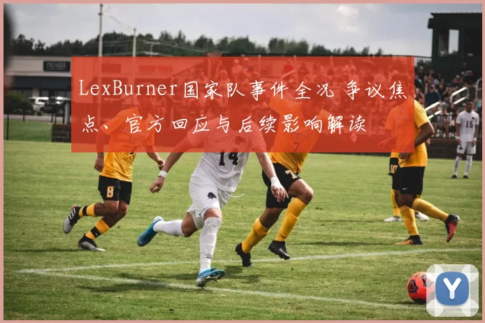 LexBurner国家队事件全况 争议焦点、官方回应与后续影响解读