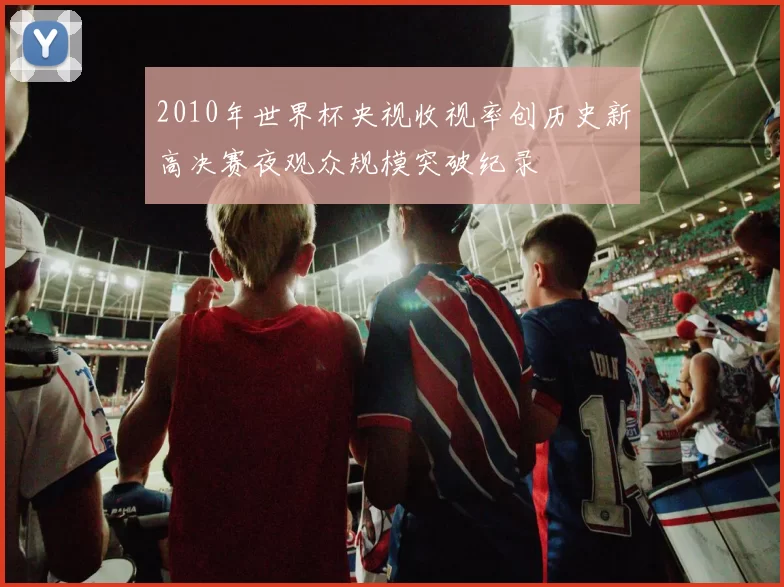 2010年世界杯央视收视率创历史新高决赛夜观众规模突破纪录