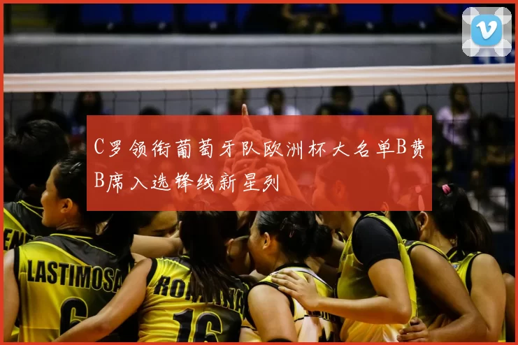 C罗领衔葡萄牙队欧洲杯大名单B费B席入选锋线新星列