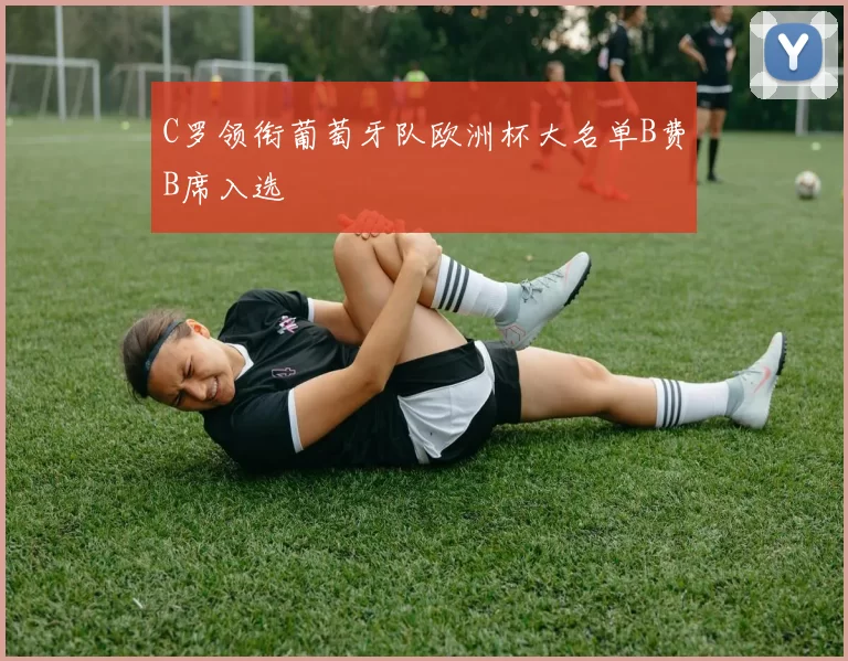 C罗领衔葡萄牙队欧洲杯大名单B费B席入选