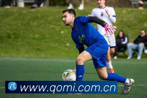 九游官网j9平台生态图